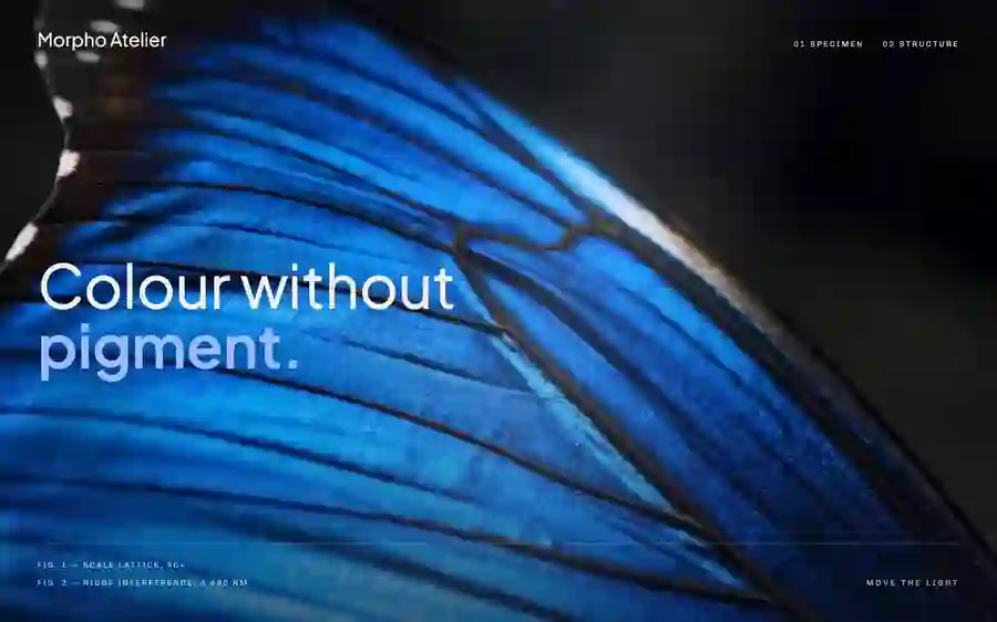 Bewegte Vorschau: Morpho von UI Prompts